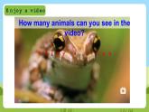 牛津译林版英语五上 Unit 3  Our animal friends Sound time & Culture time课件+素材