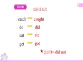 牛津译林版英语六上Unit3 Holiday fun 第2课时 Grammar time（课件+教案+练习+素材）