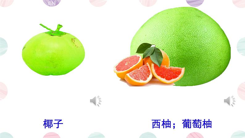 unit 6 It's a grapefruit. Lesson 31（课件）-2024-2025学年人教精通版英语五年级上册107