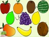 unit 6 It's a grapefruit. Lesson 32（課件）-2024-2025學(xué)年人教精通版英語五年級上冊