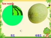 unit 6 It's a grapefruit. Lesson 32（課件）-2024-2025學(xué)年人教精通版英語五年級上冊