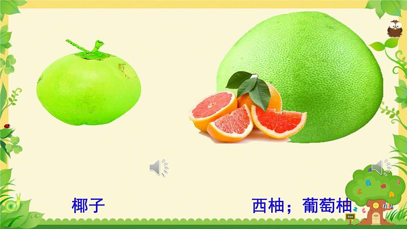 unit 6 It's a grapefruit. Lesson 32（课件）-2024-2025学年人教精通版英语五年级上册06