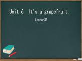 unit 6 It's a grapefruit. Lesson 35（课件）-2024-2025学年人教精通版英语五年级上册