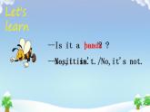 Lesson 7 Is it a bird Let'learn（课件）-2024-2025学年科普版英语三年级上册