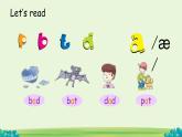 Lesson 7 Is it a bird（课件）-2024-2025学年科普版英语三年级上册