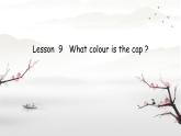 Lesson 9 What colour is the cap（課件）-2024-2025學(xué)年科普版英語三年級上冊