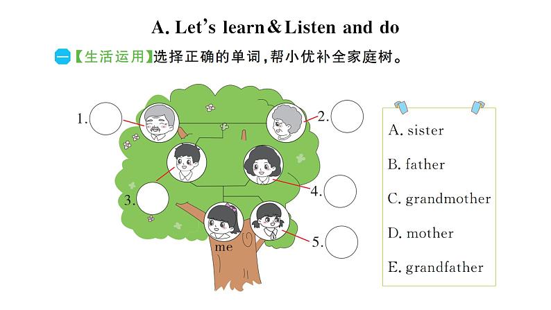 Unit 2 Different families第5页