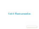 Unit 4 Plants around us同步作業(yè)課件(含聽力原文，含聽力音頻)