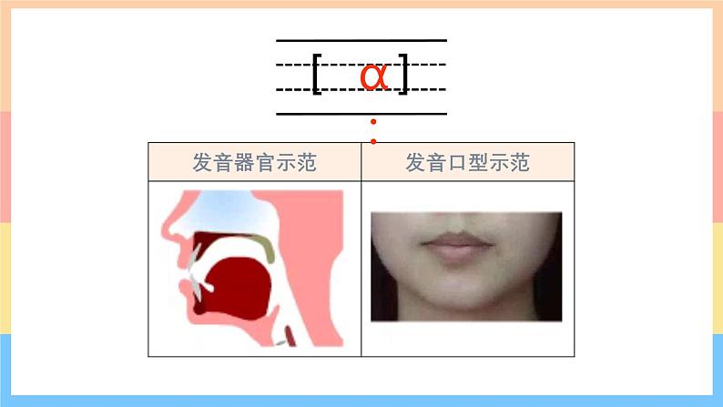 通用版 小学英语  国际音标3：图说英语单词图解与发音练习  课件03