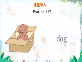 英语 教科版三上U9第1课时 PPT课件