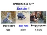 Unit 5 Animals  in danger  第3课时（ Parts 3 & 6）（课件+素材）-2024-2025学年Join in 外研剑桥英语六年级上册