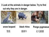 Unit 5 Animals  in danger  第3课时（ Parts 3 & 6）（课件+素材）-2024-2025学年Join in 外研剑桥英语六年级上册