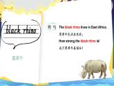 Unit 5 Animals in danger单词解读（课件）-2024-2025学年Join in 外研剑桥英语六年级上册