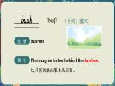 Unit 5 A party  單詞解讀（課件）-2024-2025學年Join in 外研劍橋英語五年級上冊