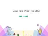 外研版英语六年级上册Module 3 Unit 2 What’s your hobby（课件＋教案＋练习＋素材）