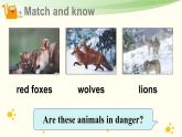 Module 2 Unit 5 Animals in danger 第3课时（课件+素材）2024-2025学年牛津上海版（三起）英语六年级上册
