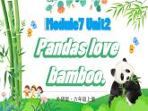 【核心素養(yǎng)】外研版英語六年級(jí)上冊(cè) M7-U2 Pandas love bamboo 同步課件+同步練習(xí)+同步教案