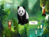 【核心素養(yǎng)】外研版英語六年級(jí)上冊(cè) M7-U2 Pandas love bamboo 同步課件+同步練習(xí)+同步教案
