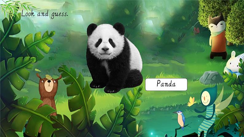 【核心素养】外研版英语六年级上册 M7-U2 Pandas love bamboo 同步课件+同步练习+同步教案02