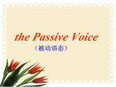 译林版小学英语语法;被动被动语态课件