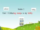 Module3unit1 Collecting stamps is my hobby外研版三起六年级上册（课件+教案+素材）