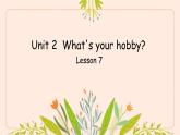 Unit 2 What's your hobby Lesson  7（課件）-2024-2025學(xué)年人教精通版英語(yǔ)六年級(jí)上冊(cè)