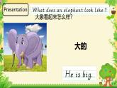 Unit 3 My Friends  Lesson 1（课件）-2024-2025学年人教新起点版英语二年级上册3