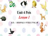 Unit 4 Pets Lesson 1（課件）-2024-2025學(xué)年人教新起點(diǎn)版英語三年級上冊