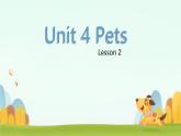 Unit 4 Pets Lesson 2（课件）-2024-2025学年人教新起点版英语三年级上册