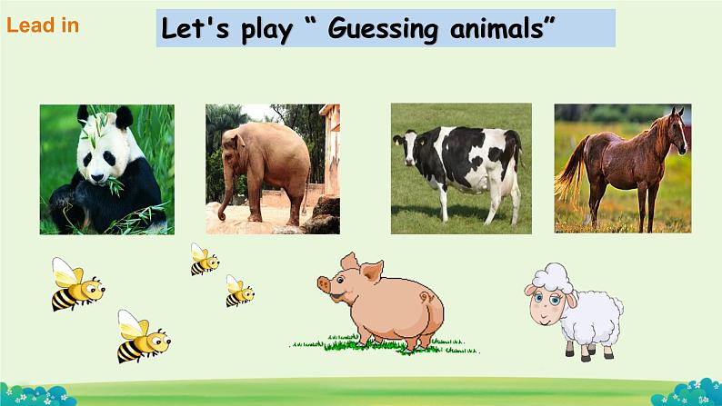 Unit 3 Animals Lesson 1（课件）-2024-2025学年人教新起点版英语五年级上册04