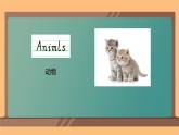 Unit 3 Animals story（課件）-2024-2025學年人教新起點版英語五年級上冊