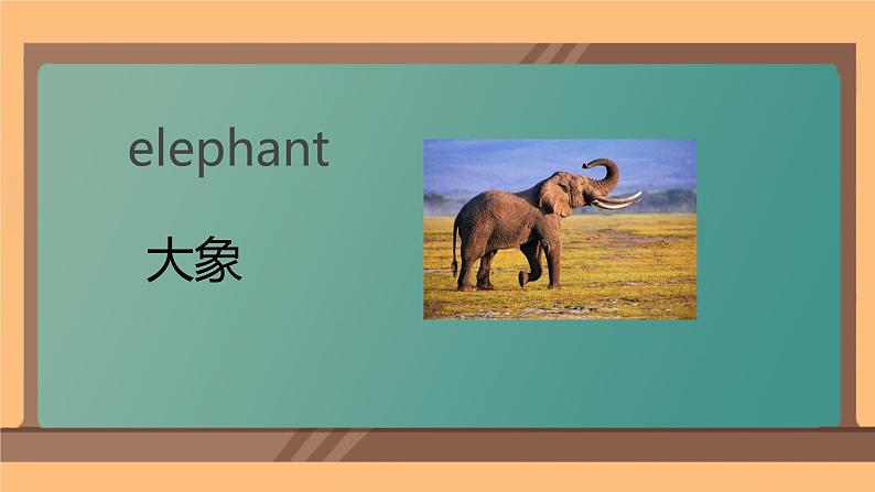 Unit 3 Animals story（课件）-2024-2025学年人教新起点版英语五年级上册04