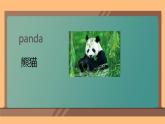 Unit 3 Animals story（課件）-2024-2025學年人教新起點版英語五年級上冊