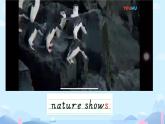 Unit 5 TV Shows Lesson 3（課件）-2024-2025學(xué)年人教新起點(diǎn)版英語五年級(jí)上冊(cè)