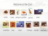 Unit 3 Animal World Lesson 1（课件）-2024-2025学年人教新起点版英语六年级上册