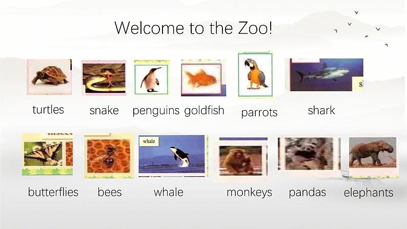 Unit 3 Animal World Lesson 1（课件）-2024-2025学年人教新起点版英语六年级上册第2页