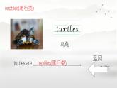 Unit 3 Animal World Lesson 1（课件）-2024-2025学年人教新起点版英语六年级上册