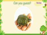 Unit 4 Pets Story Time（課件）-2024-2025學(xué)年人教新起點(diǎn)版英語三年級上冊