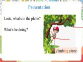 外研版英語四年級上冊Module 7 Unit 1 《There is a horse in this photo》 課件