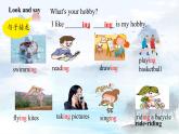 M3u2wWhat's your hobby(课件+教案+素材）外研版三年级起点六年级上册