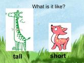 人教版六年级英语下册unit 1 How tall are you课件