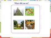 外研版（一起）英语四上Module 5 Unit 1 《We went to the Great Wall》课件