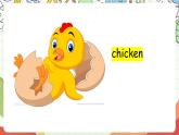 人教版新起点英语三上 Unit 4 《Pets》 Lesson 2 课件+素材
