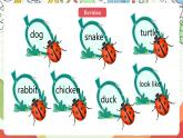 人教版新起点英语三上 Unit 4 《Pets》 Lesson 3 课件+素材
