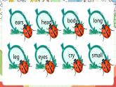 人教版新起点英语三上 Unit 4 《Pets》 Lesson 3 课件+素材