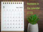 Unit 4 Fun with numbers  第4課時(shí) (Fuel up)（課件+素材）-2024-2025學(xué)年外研版（三起）（2024）英語三年級上冊