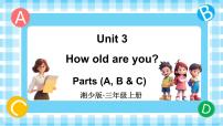 小学湘少版（2024）Unit 3 How old are you?教课内容ppt课件