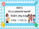 Unit 3 It’s a colourful world! 第5课时（Hip it big）（课件+素材）