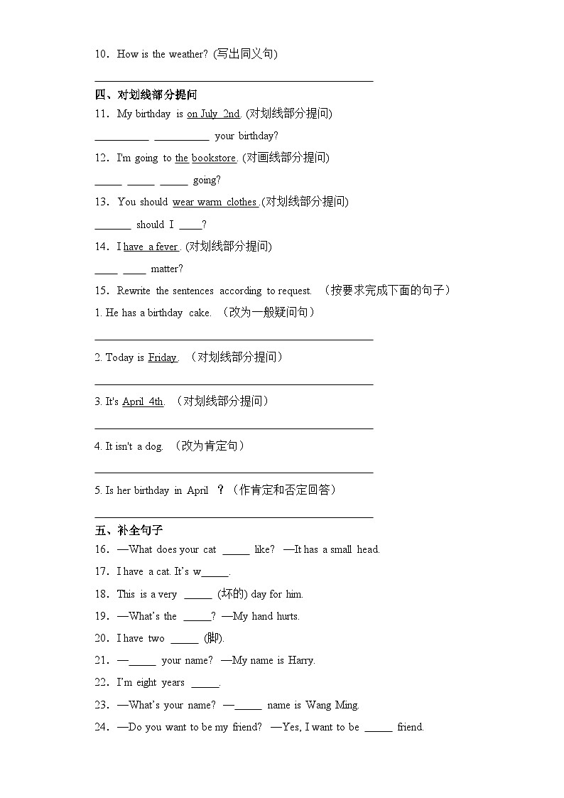 专题06+句式转换--2024-2025学年三年级英语上册期末专项复习（+人教新起点）02