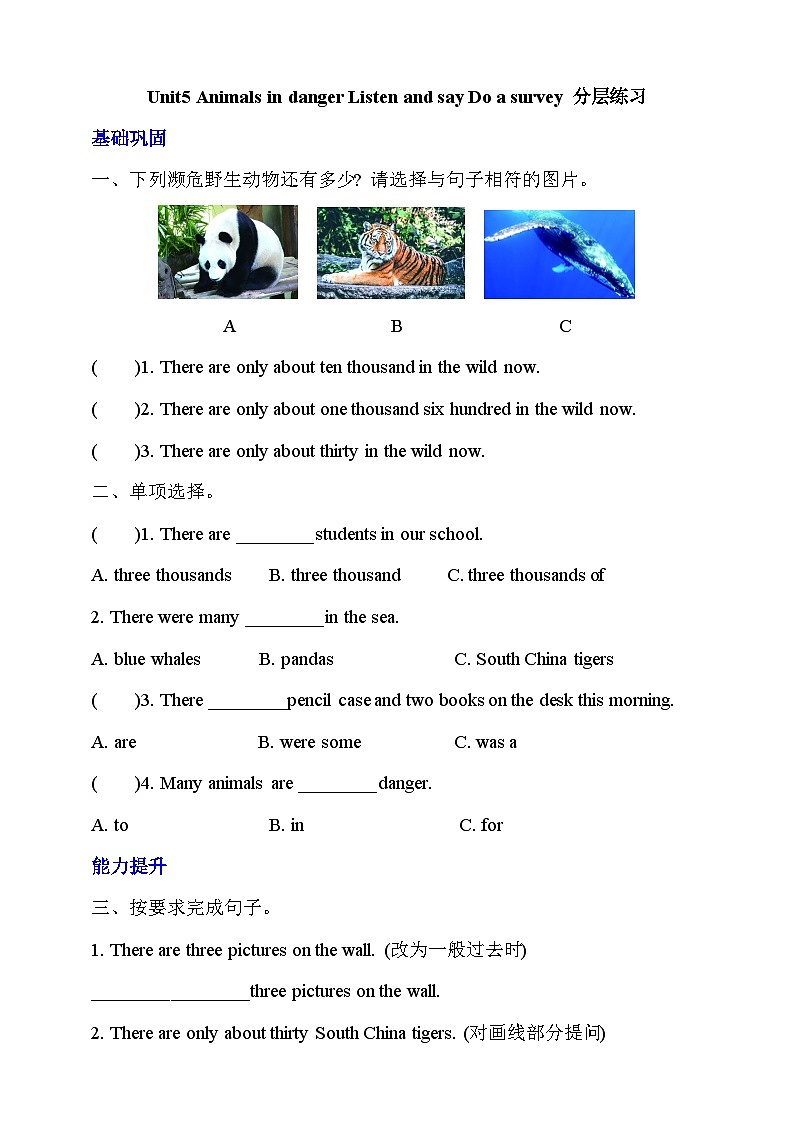 牛津深圳版英语六上Unit 5 《Animals in danger Listen and say Do a survey》课件+教案+分层练习01